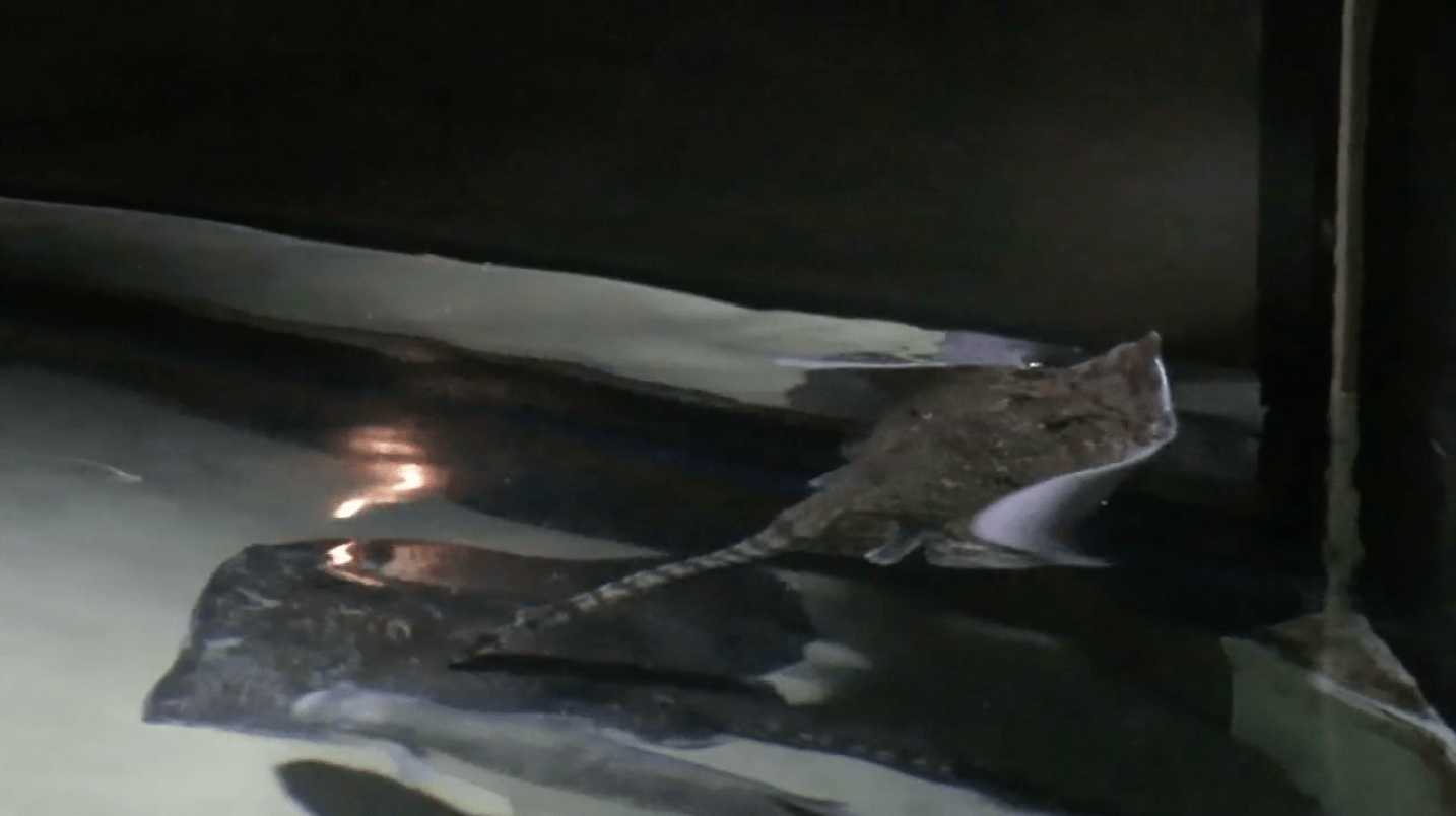 Screen Shot 2016-04-21 at 3.34.44 pm