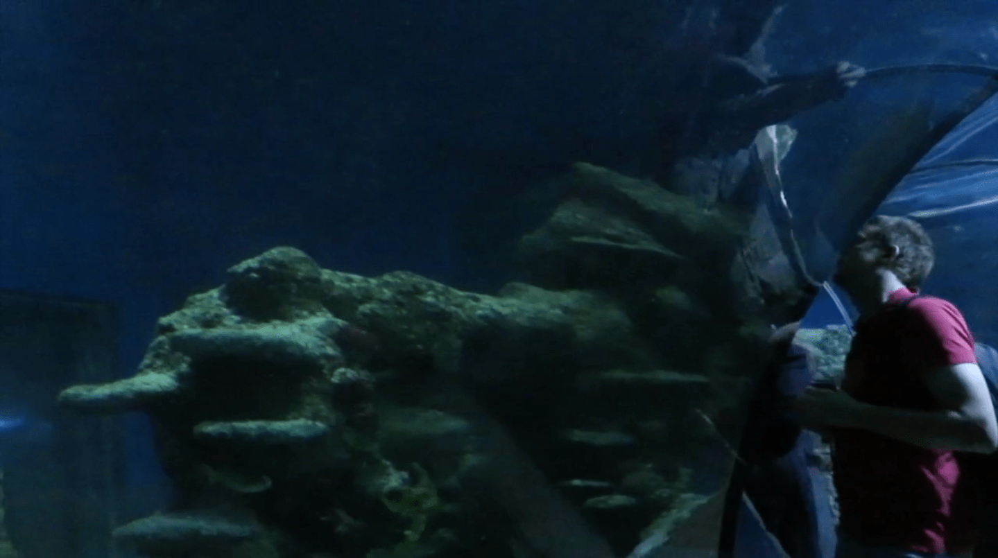 Screen Shot 2016-04-21 at 3.34.57 pm