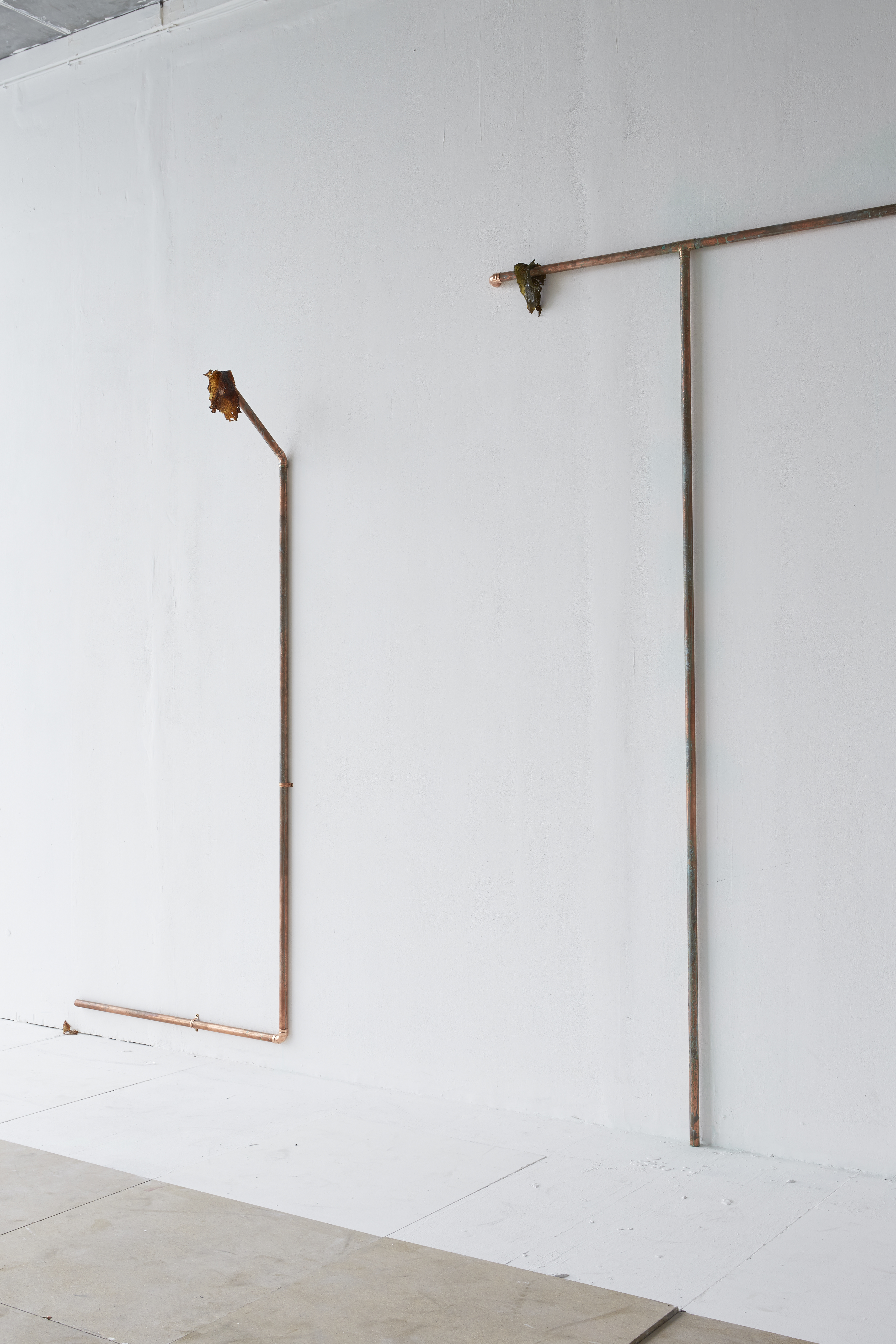 SHOT03__Madeleine-Stack_by_Rocio-Chacon_041