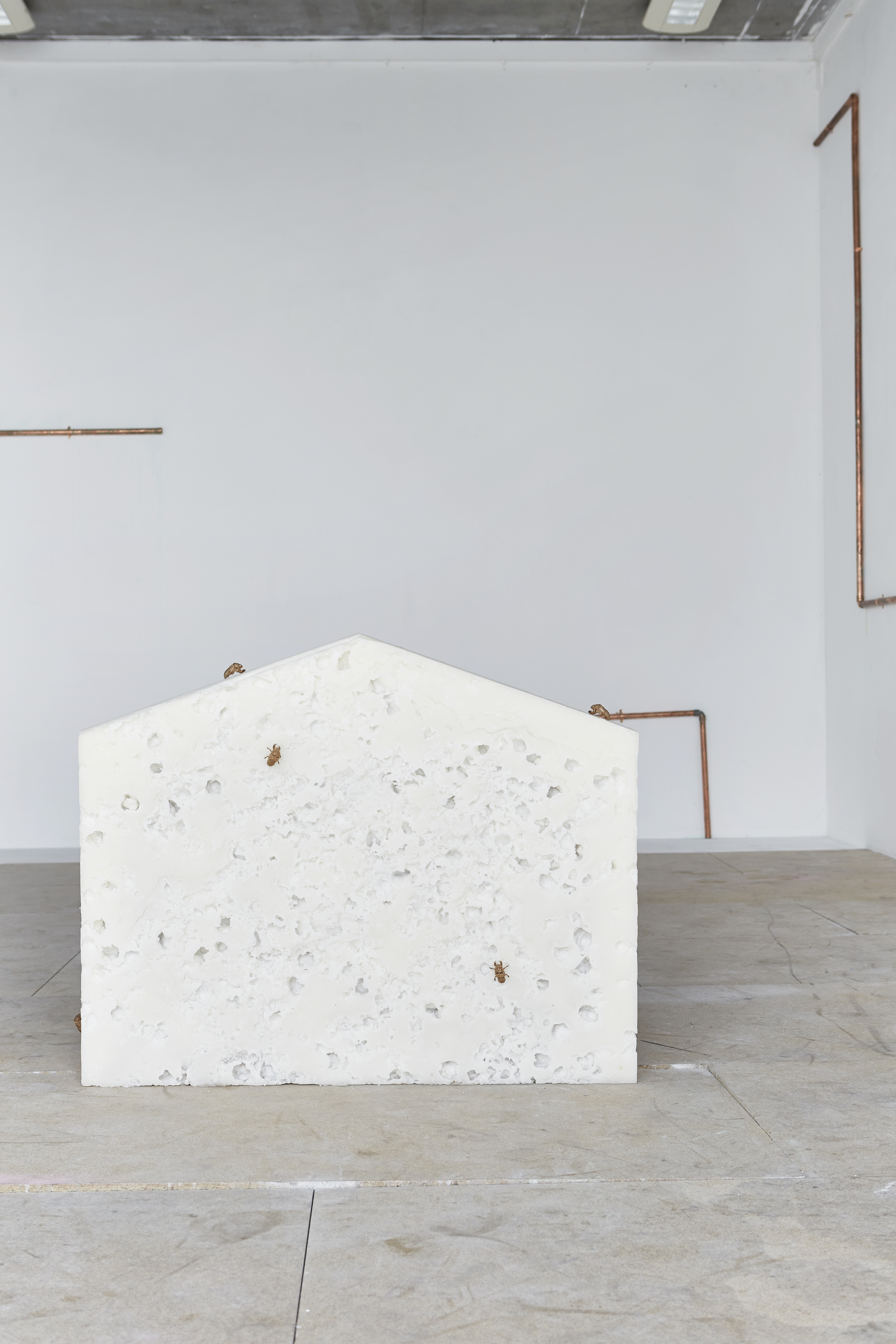 SHOT10__Madeleine-Stack_by_Rocio-Chacon_130