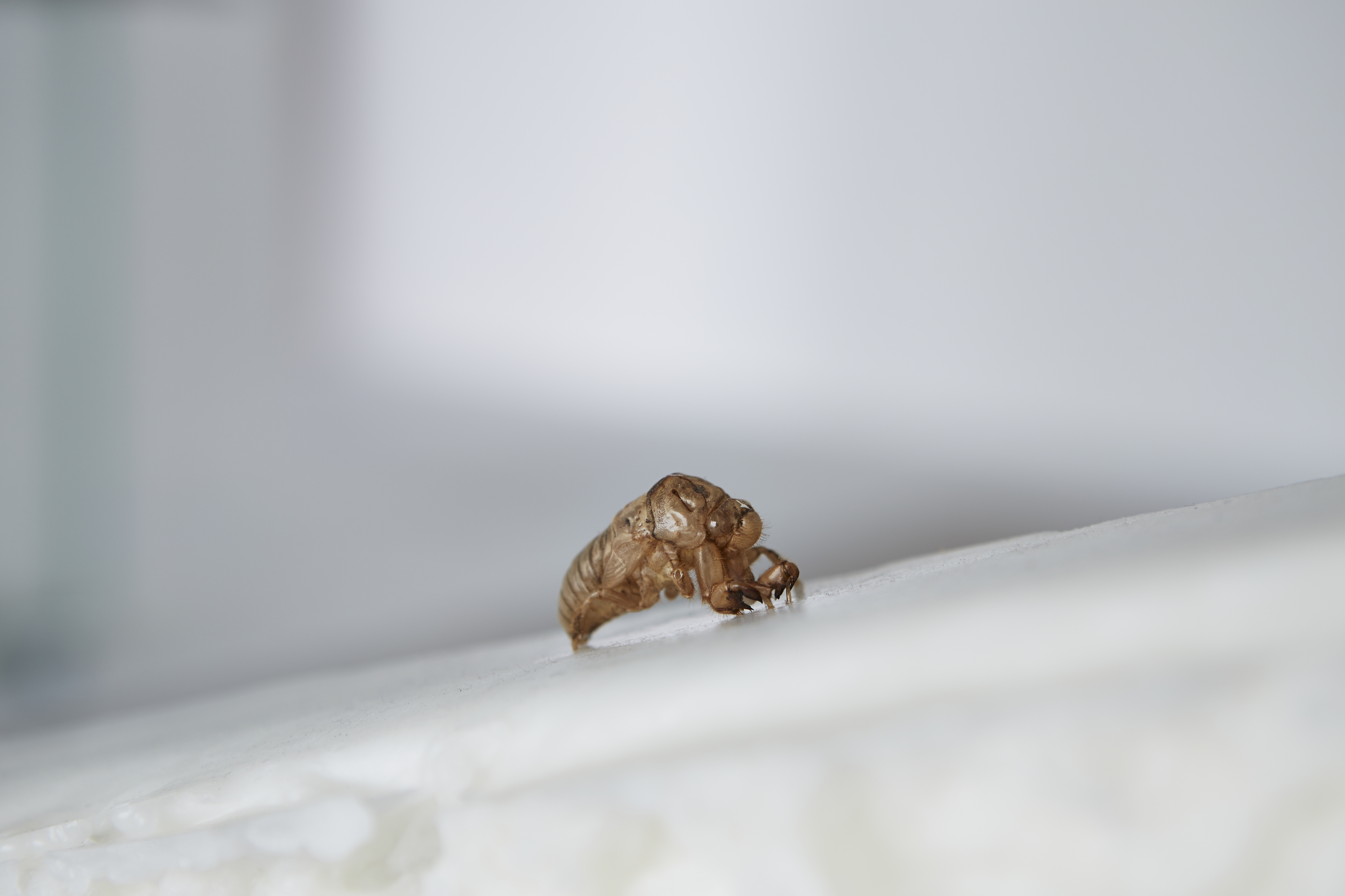 SHOT10__Madeleine-Stack_by_Rocio-Chacon_146