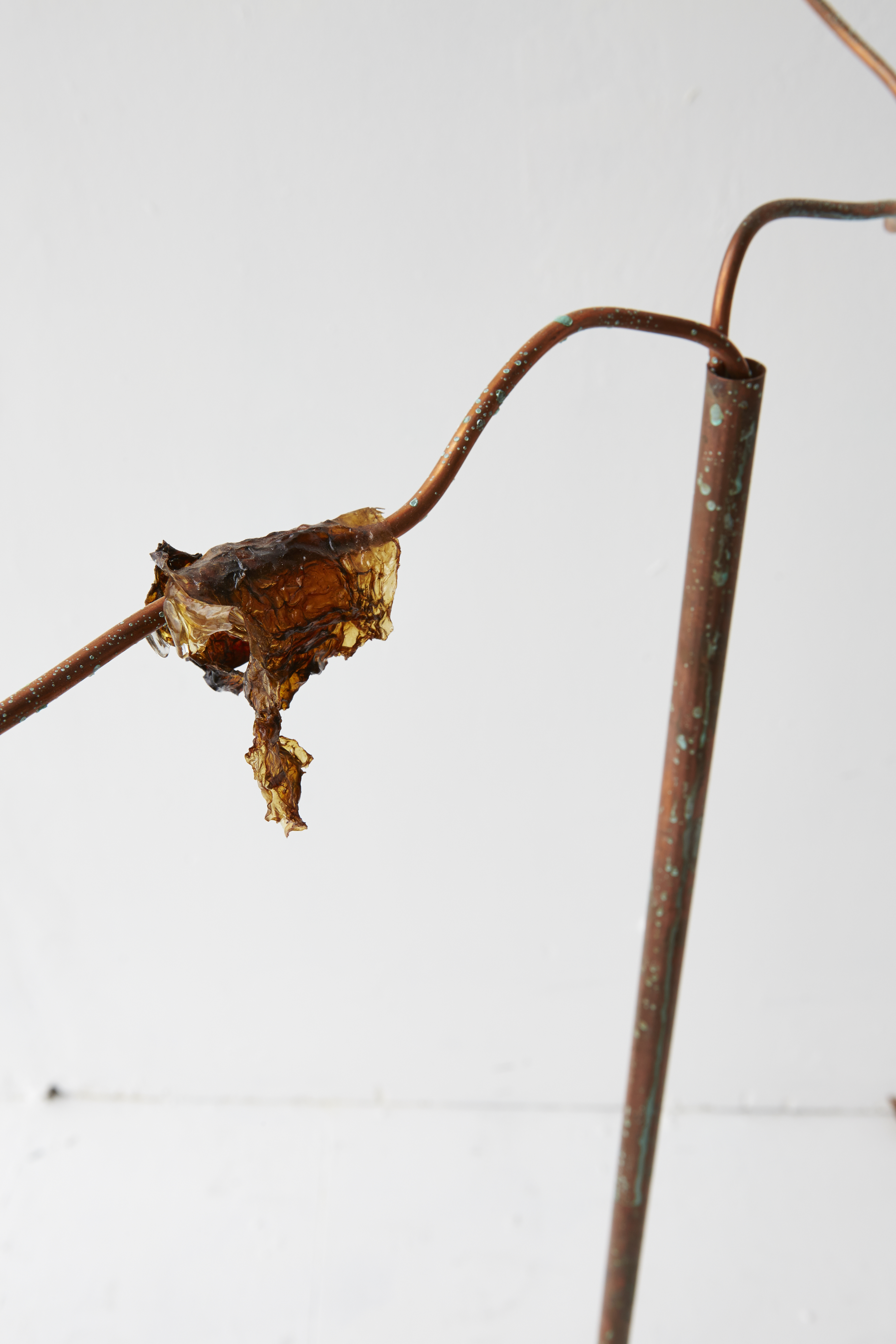 SHOT16__Madeleine-Stack_by_Rocio-Chacon_230