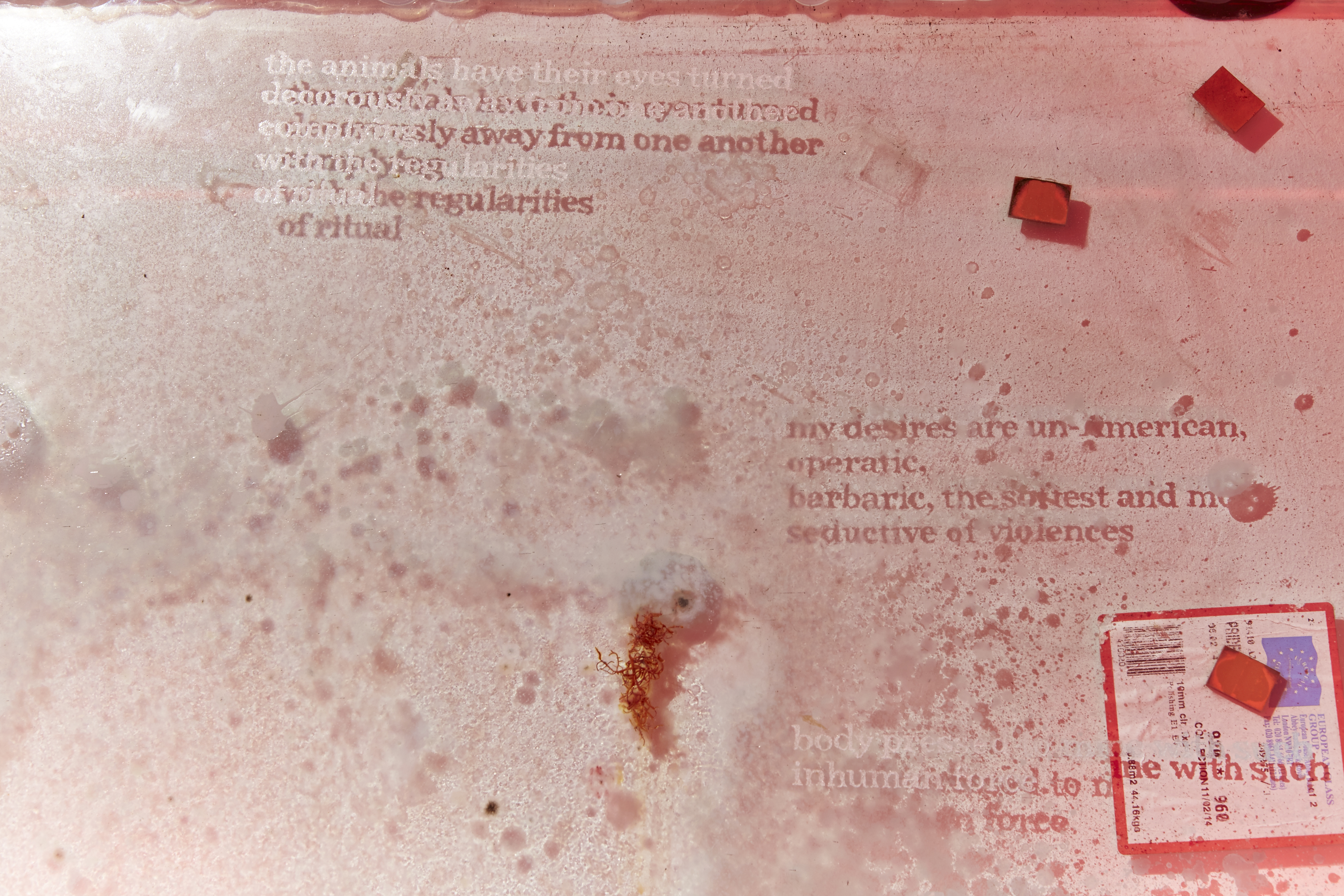 SHOT06-piece5a_ byRocioChacon_100