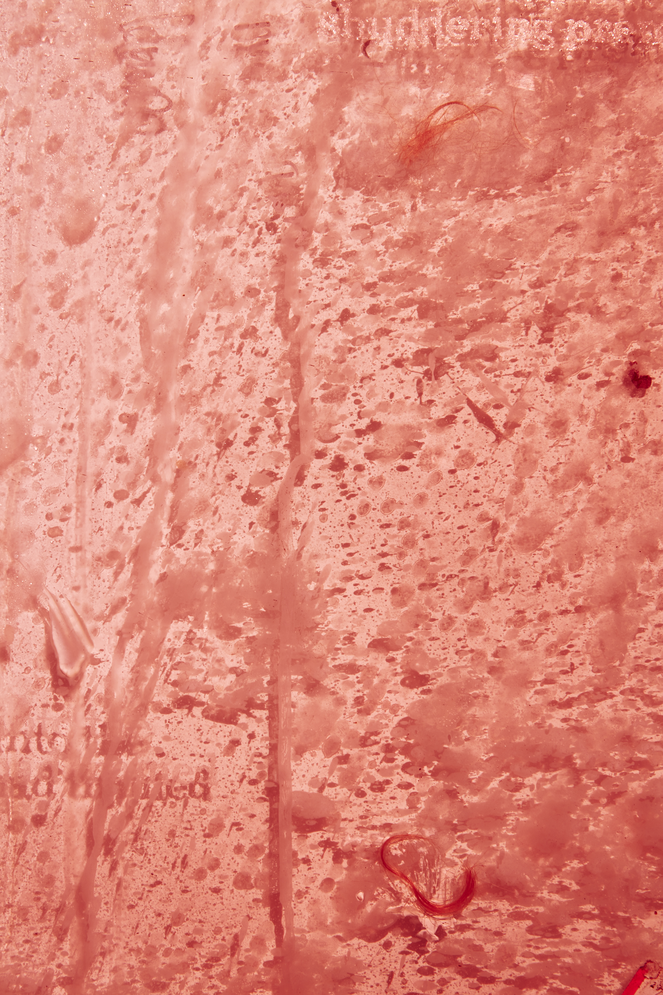 SHOT07-piece5b_ byRocioChacon_120