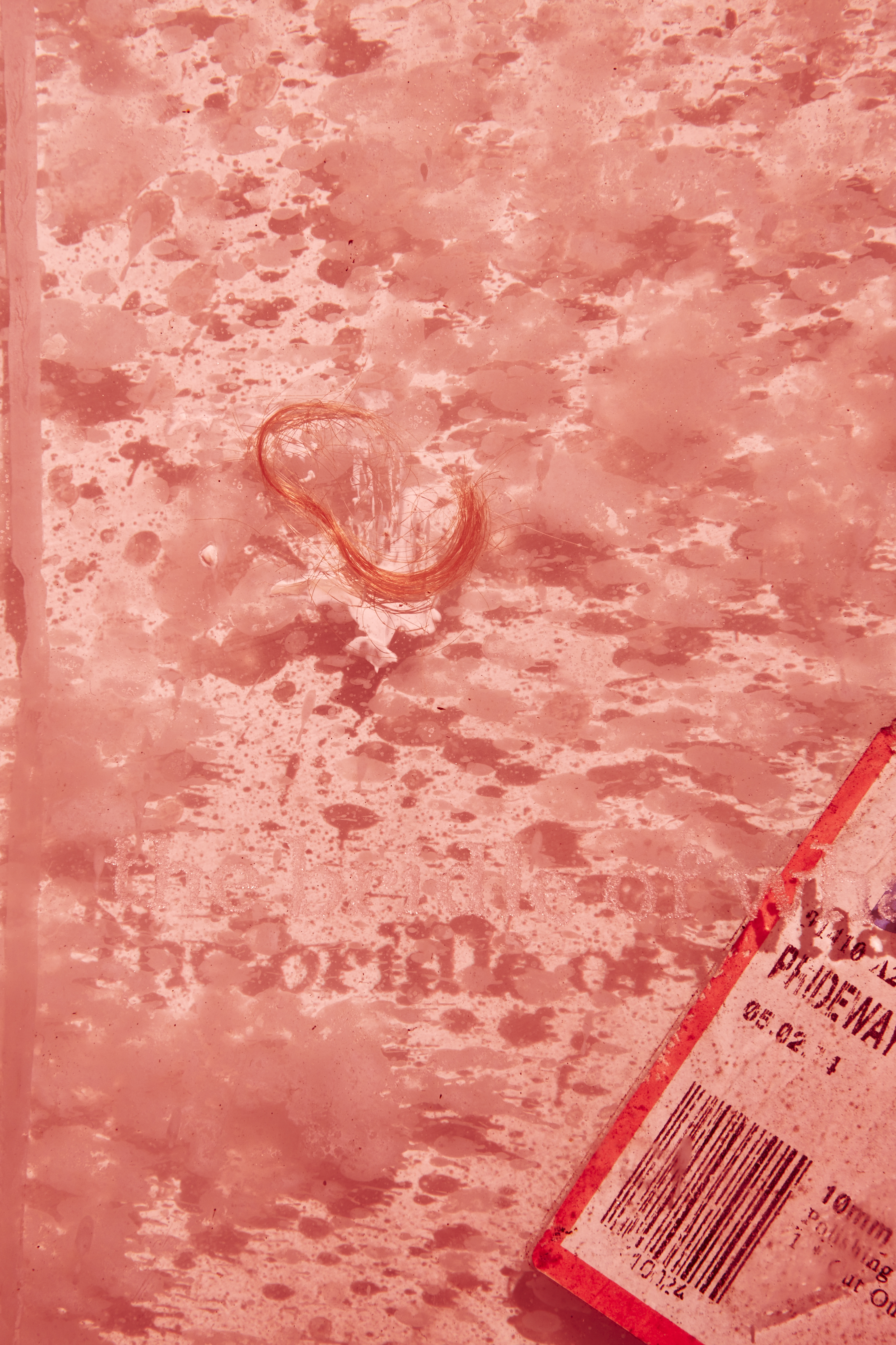 SHOT07-piece5b_ byRocioChacon_122