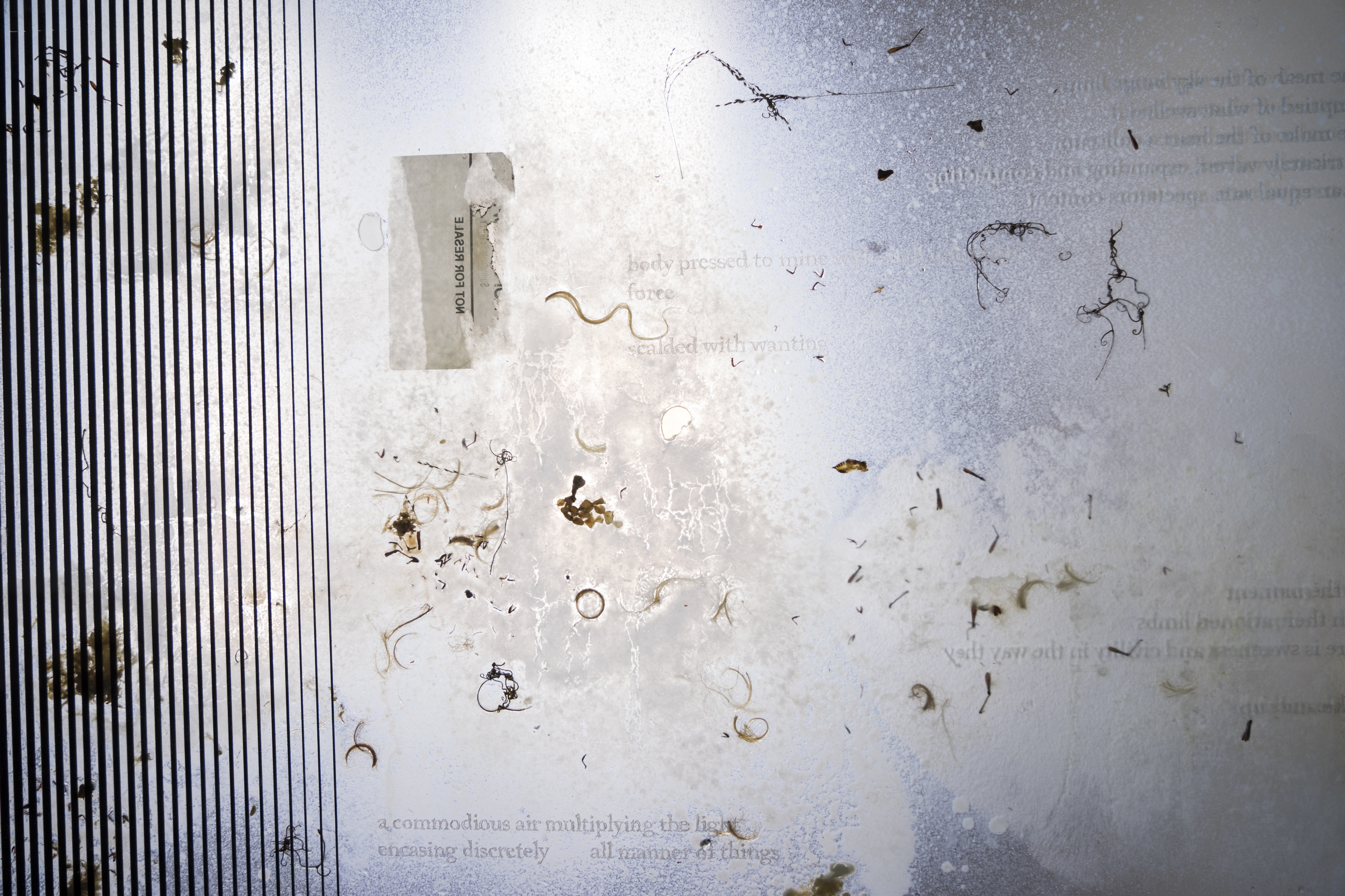 Future Skinned HR-11