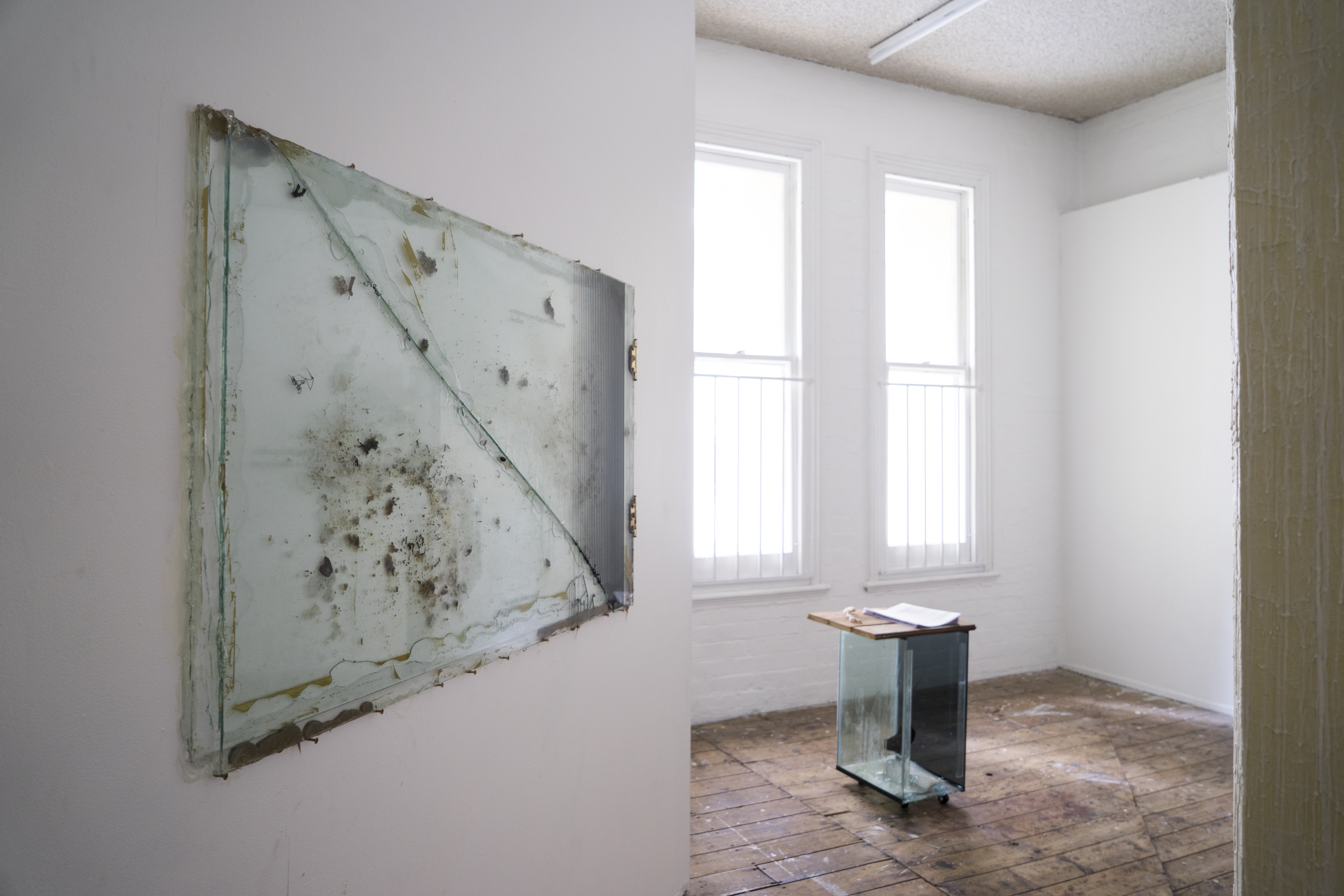 Future Skinned HR-25