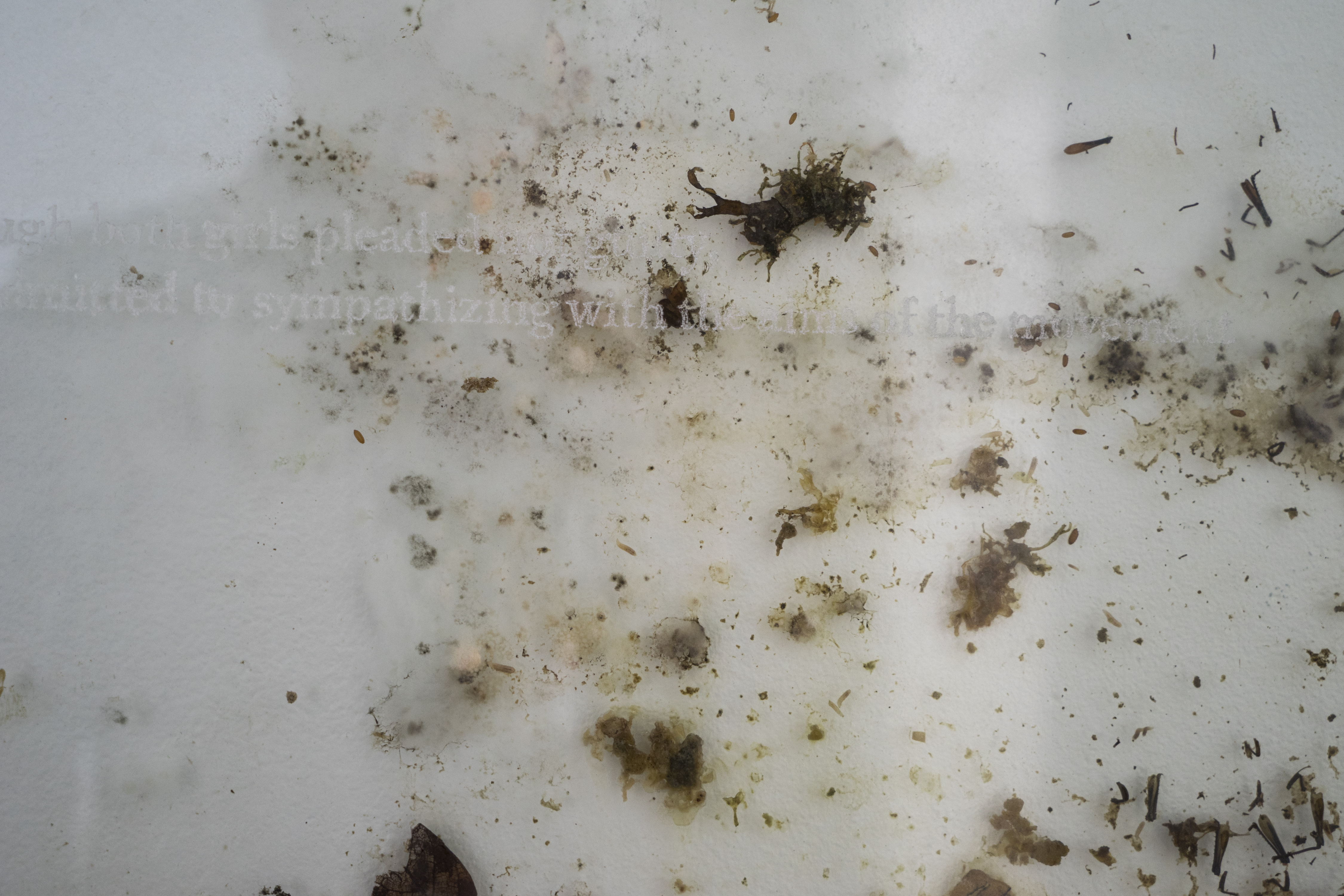 Future Skinned HR-26