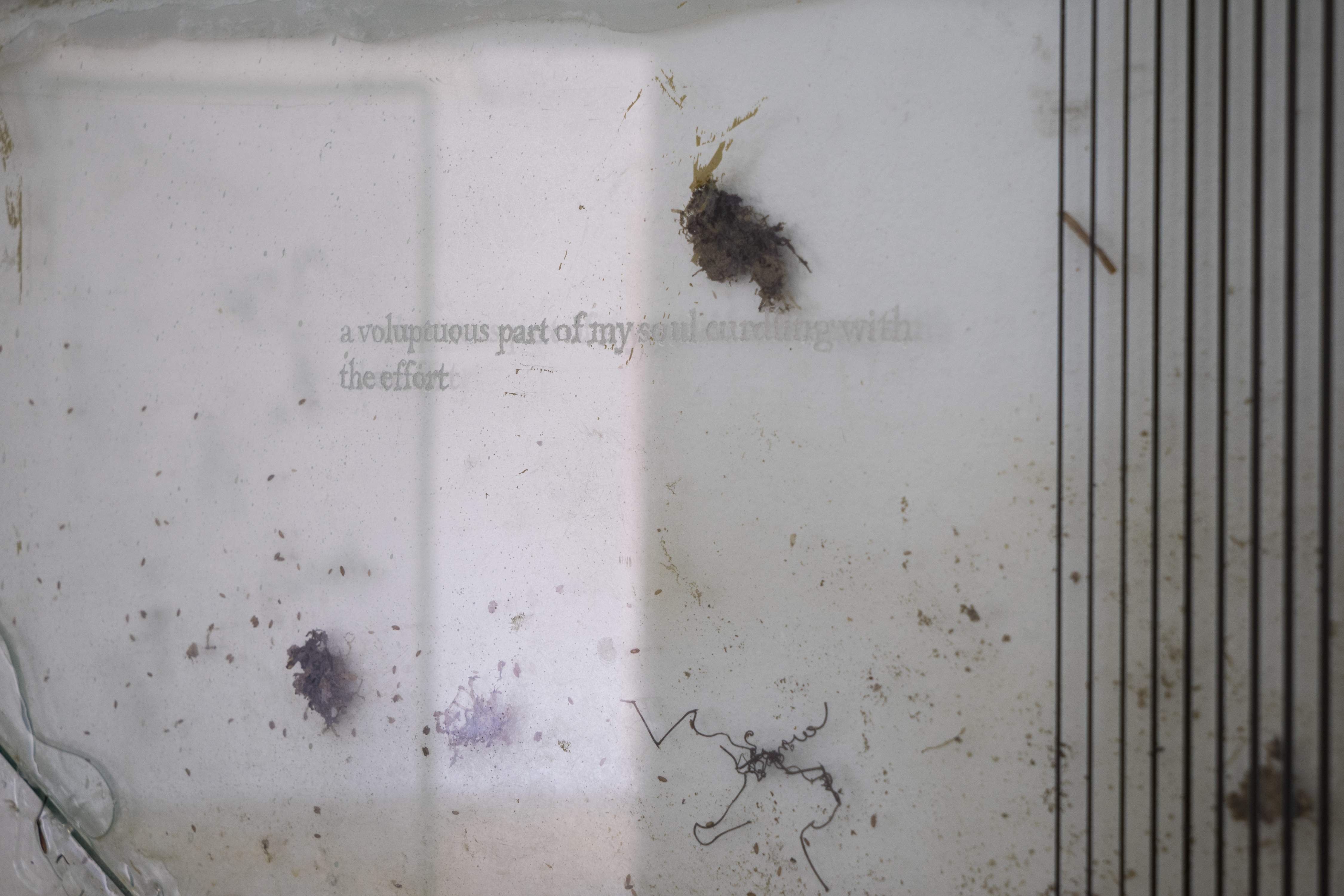 Future Skinned HR-29