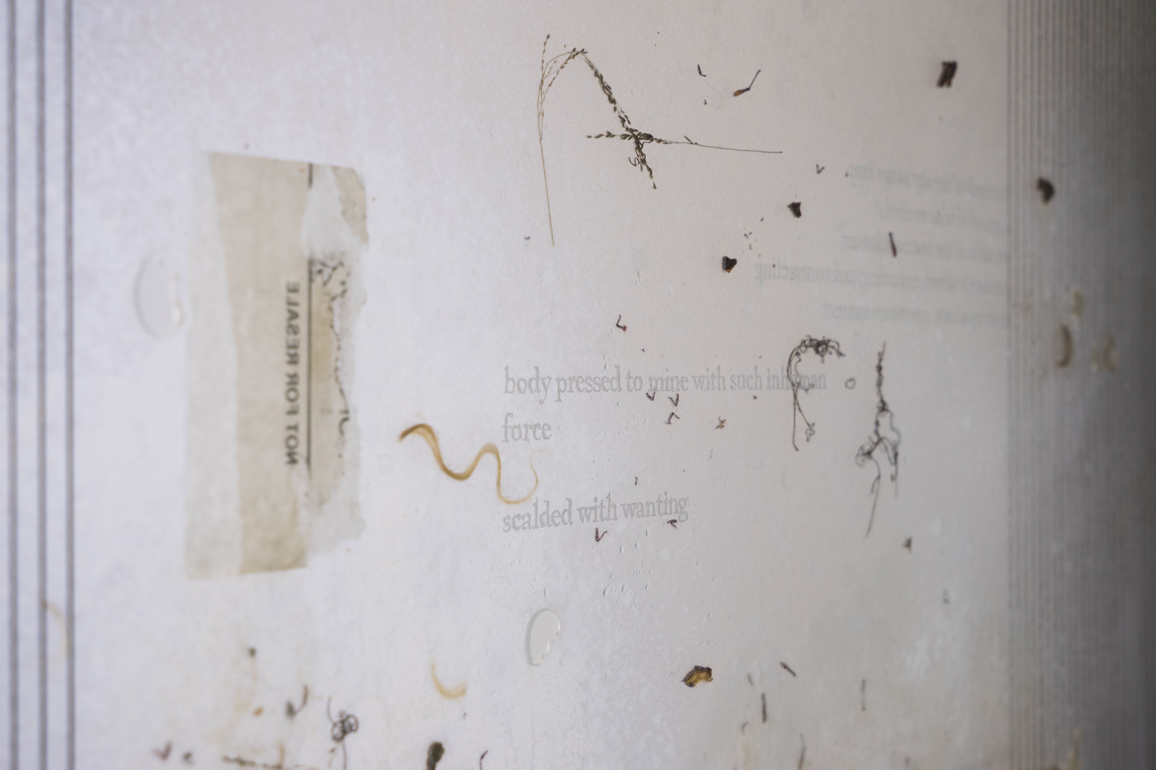 Future Skinned HR-30