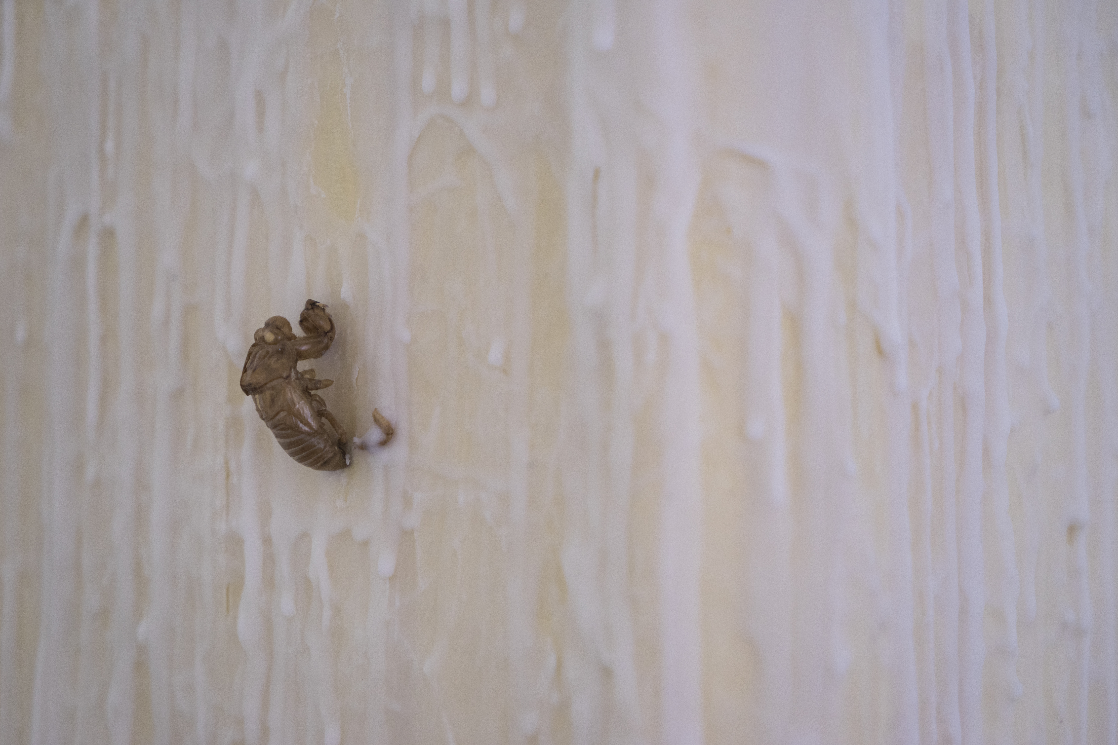 Future Skinned HR-42